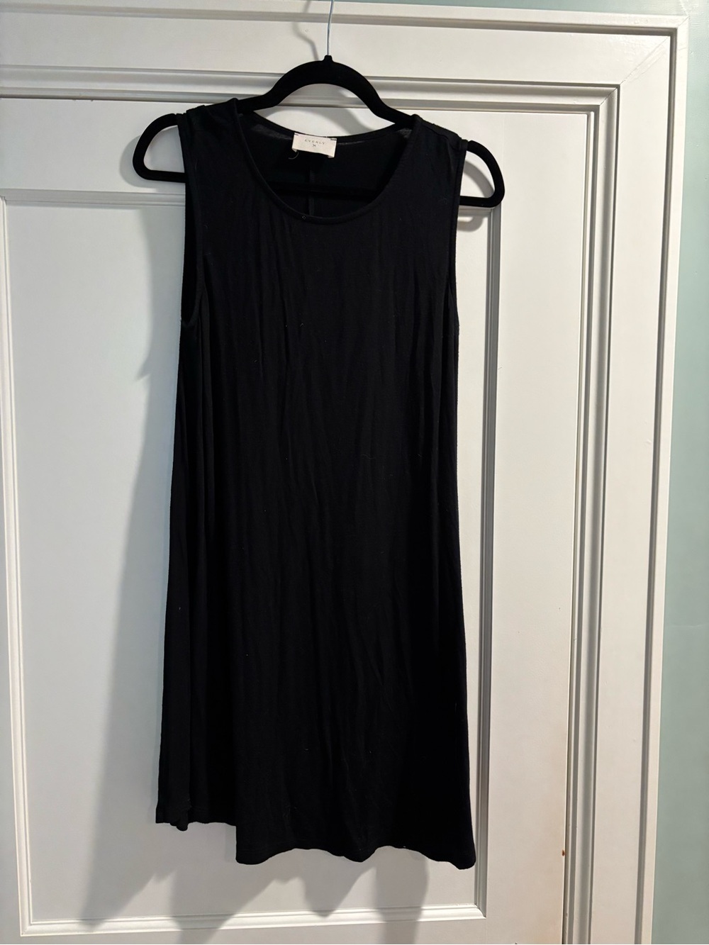 Everly Black Sleeveless Mini Shift Dress